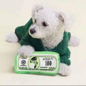 PET TOY FOR DOG / CAT